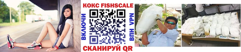 Cocaine FishScale это какой сайт Сланцы что такое наркотик