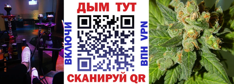 Канабис план Сланцы